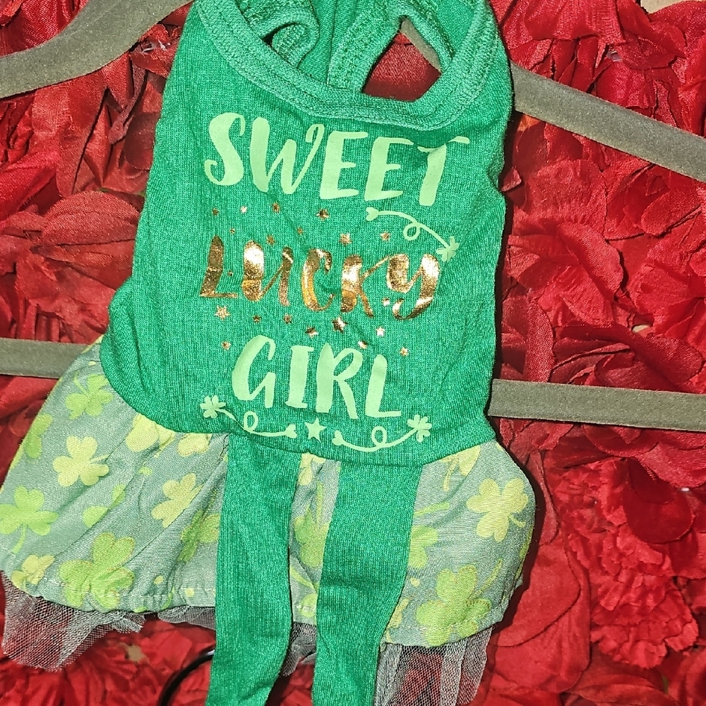 Festive Green Dog Dress with Shamrock Pattern Size Xsmall